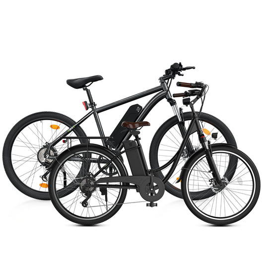 Finbike U2 & M10 E-Bike Combo